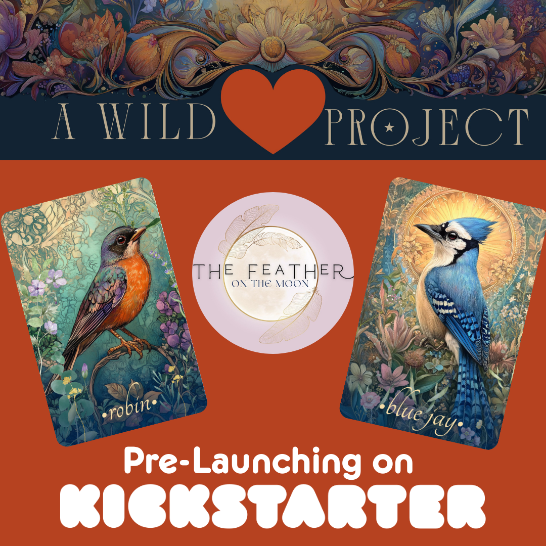 Coming Soon: Wild Urban Animal Oracle