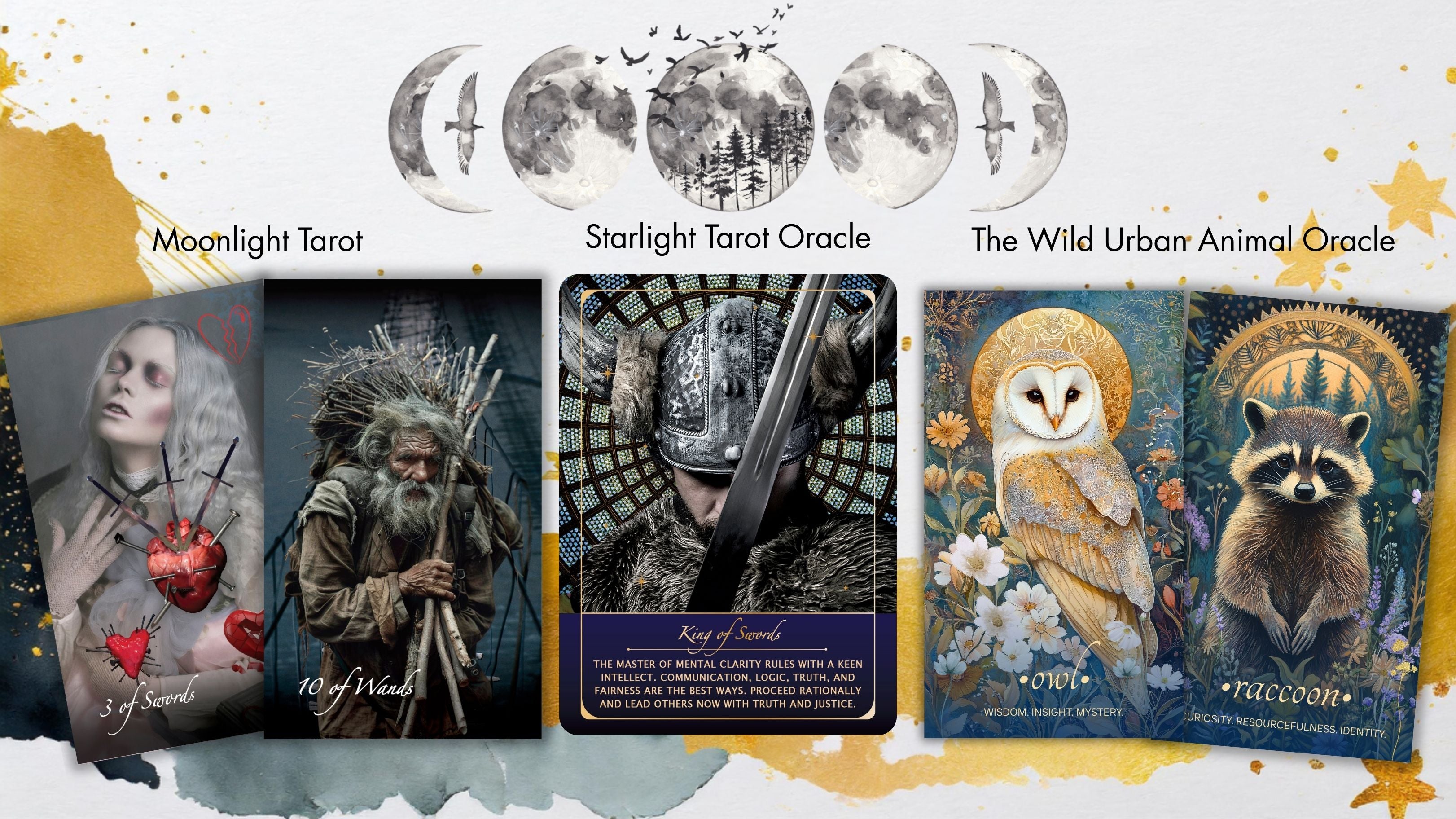 Coming Soon: Wild Urban Animal Oracle