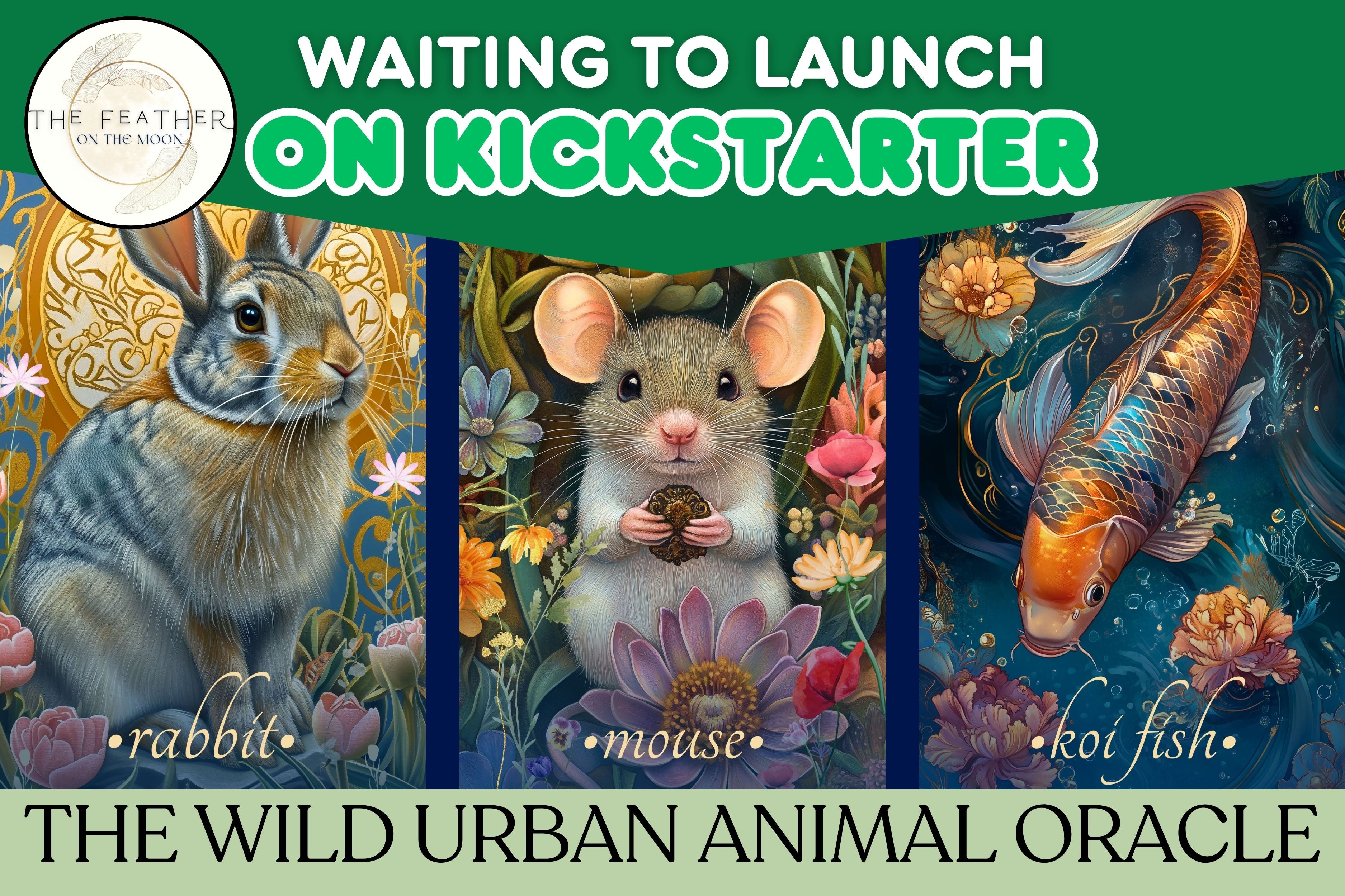 Coming Soon: Wild Urban Animal Oracle