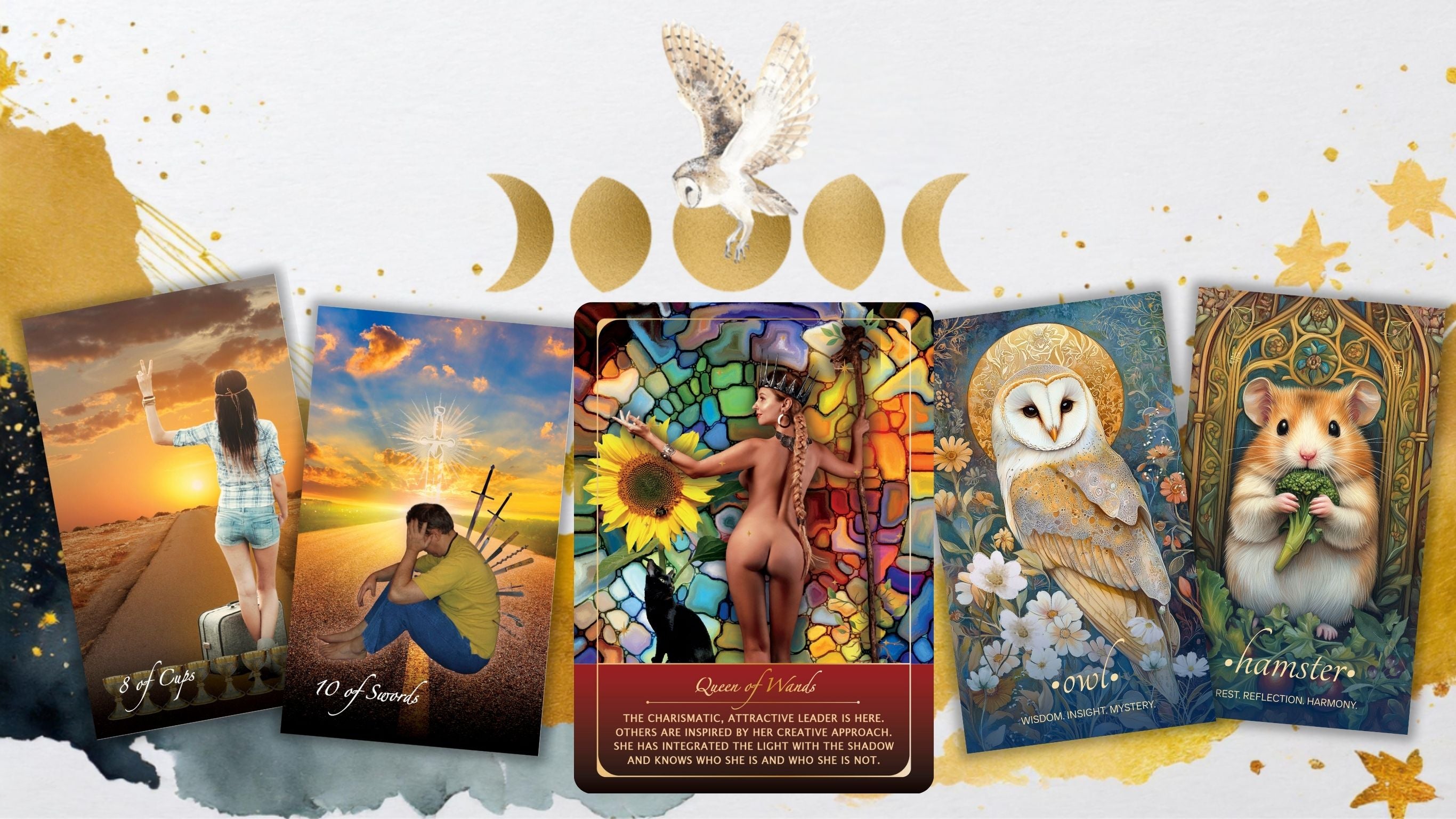 Coming Soon: Wild Urban Animal Oracle