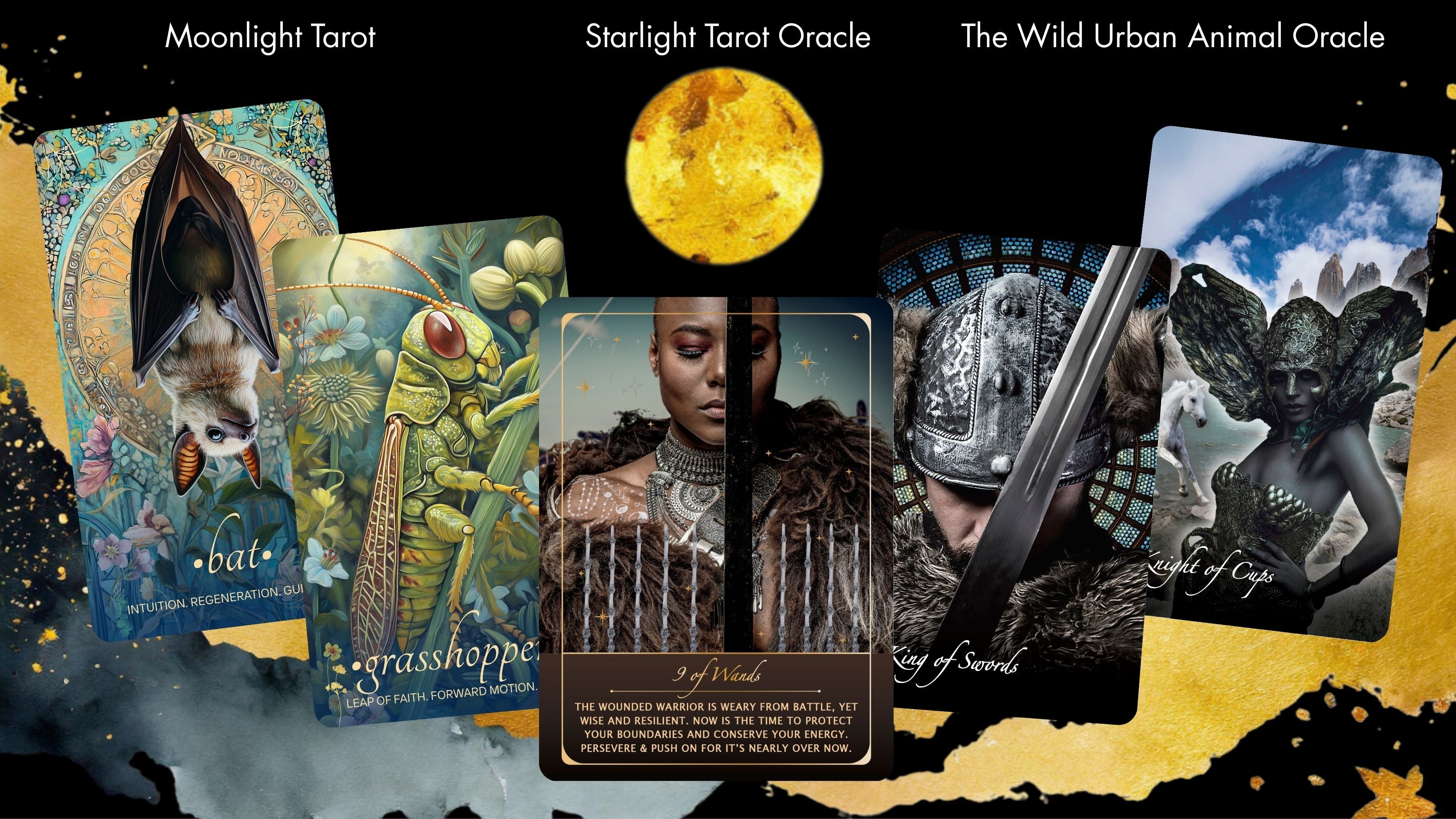 Coming Soon: Wild Urban Animal Oracle