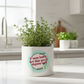 C'Mon Baby Let the Good Thyme Roll - Pot 2